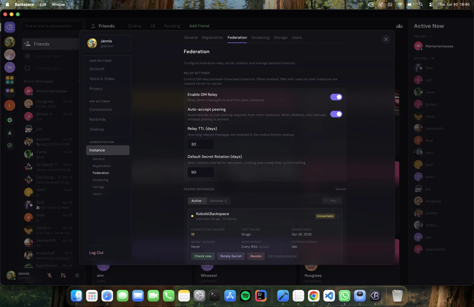 The federation admin panel showing peered instances